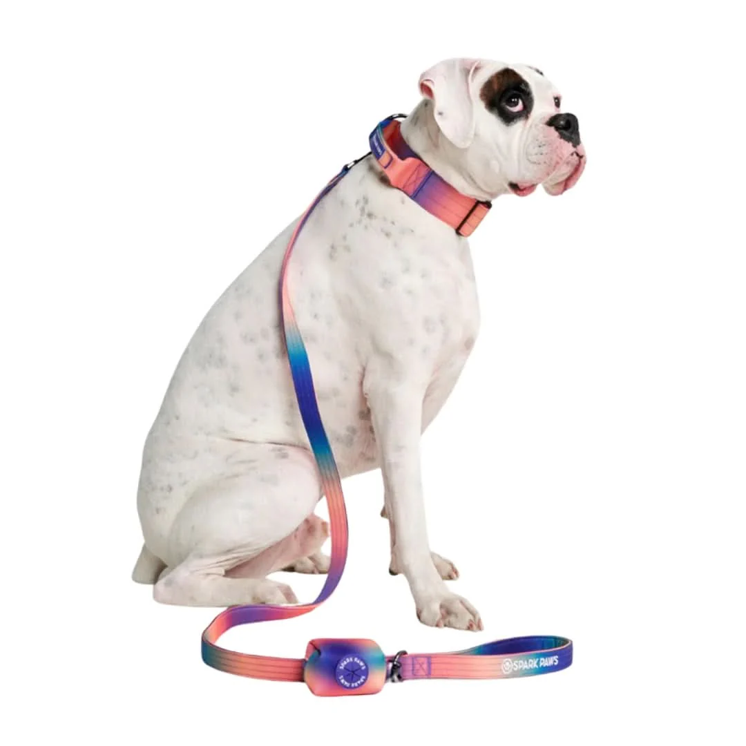 Leash and Poop Bag Holder Set - Image 66