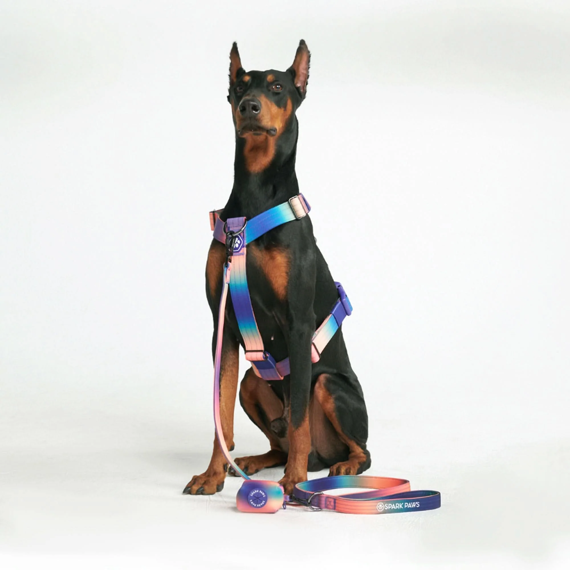 Leash and Poop Bag Holder Set - Kaleidoscope - Image 4