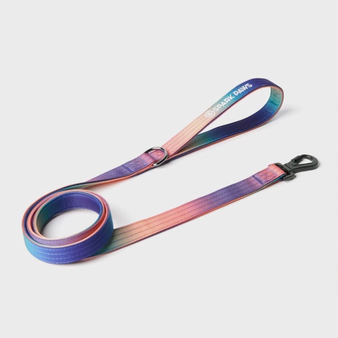 Leash and Poop Bag Holder Set - Kaleidoscope - Image 5
