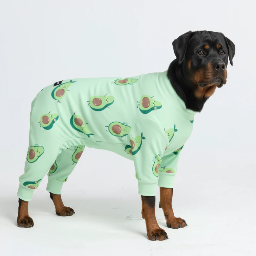 Dog Pajama - Avocado - Image 6