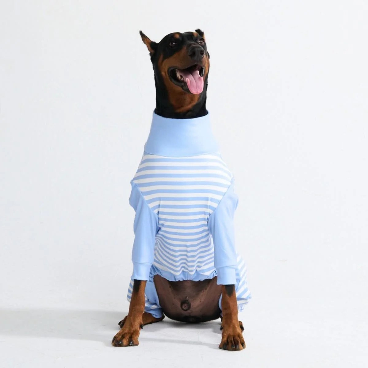 Dog Pajama - Blue Stripes - Image 3