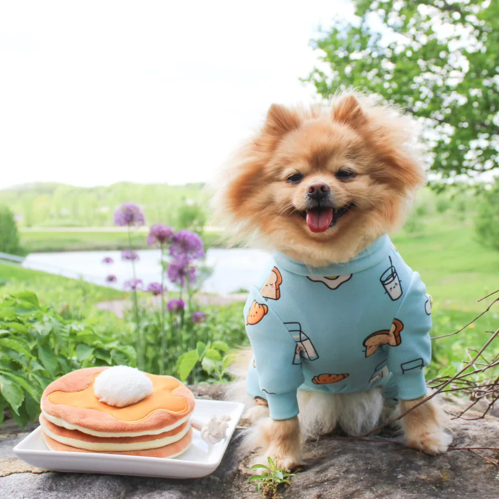 Dog Pajama - Breakfast Blue - Image 12
