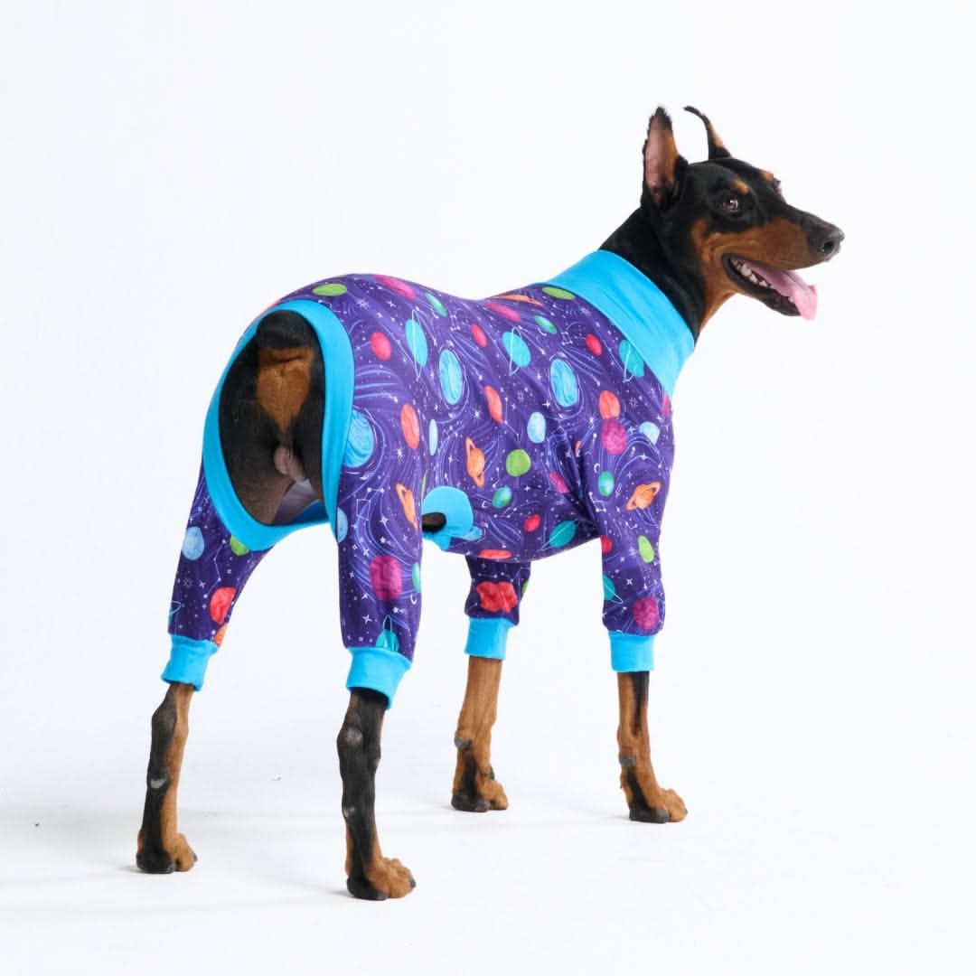 Dog Pajama Prints - Image 14
