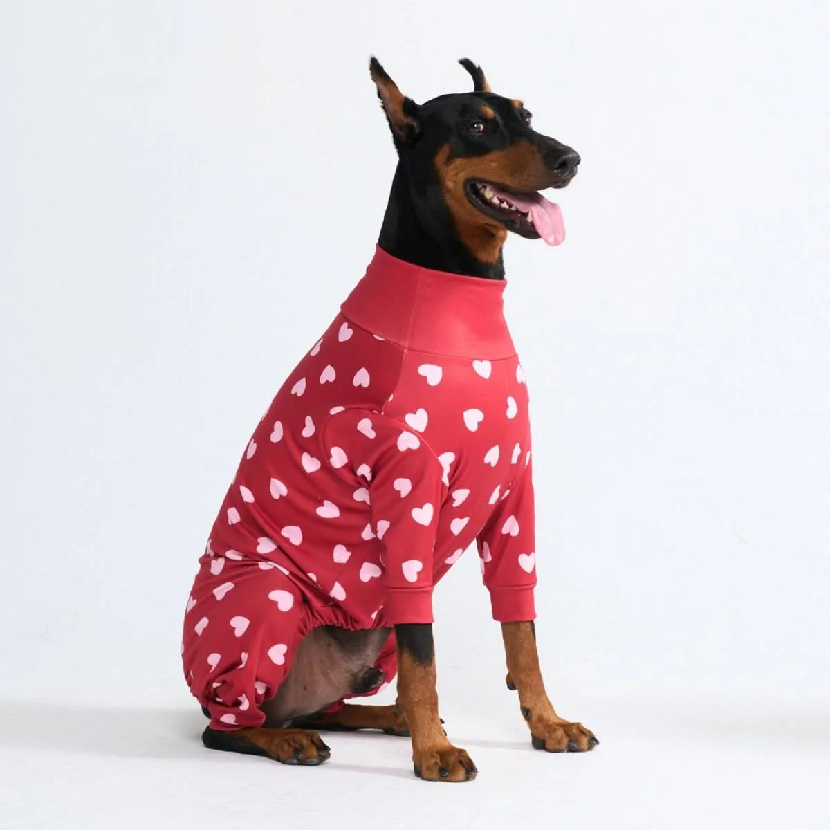 Dog Pajama Prints - Image 25
