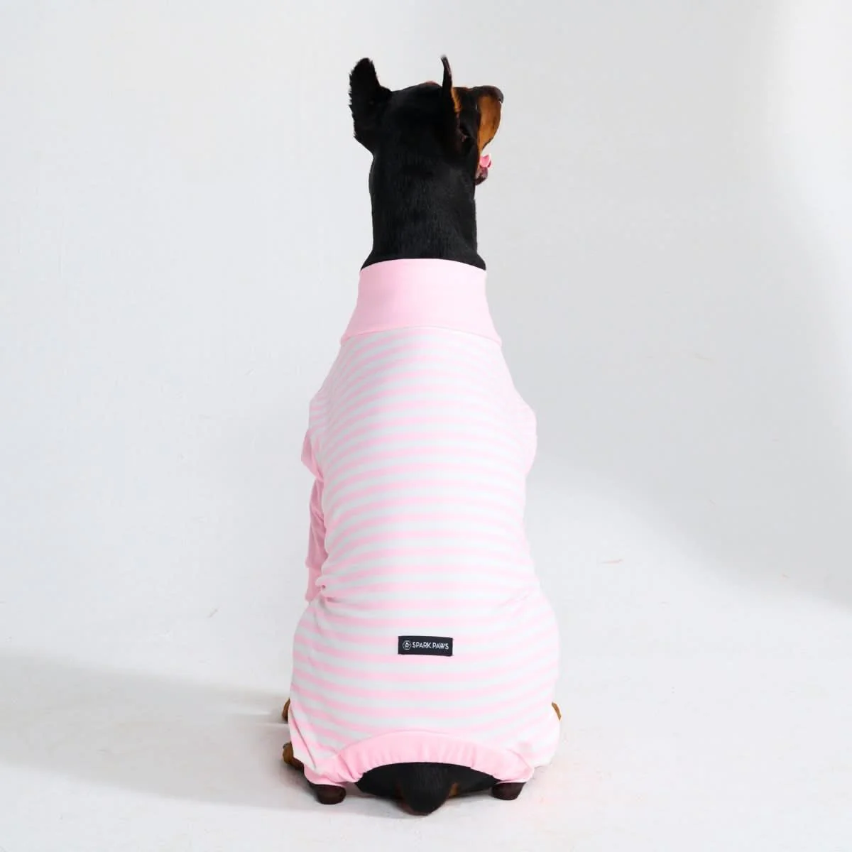 Dog Pajama Prints - Image 51