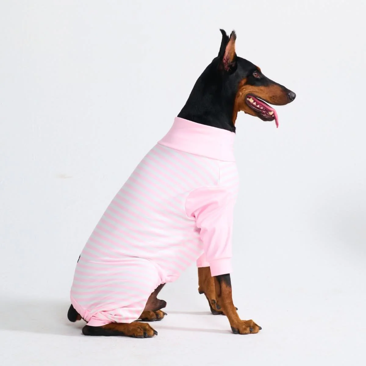 Dog Pajama Prints - Image 52