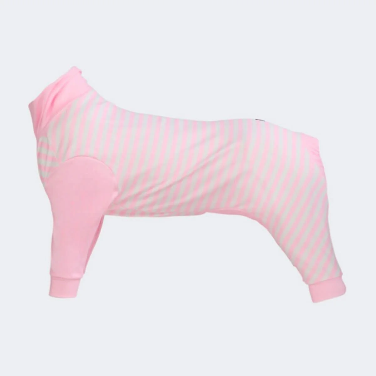 Dog Pajama Prints - Image 53