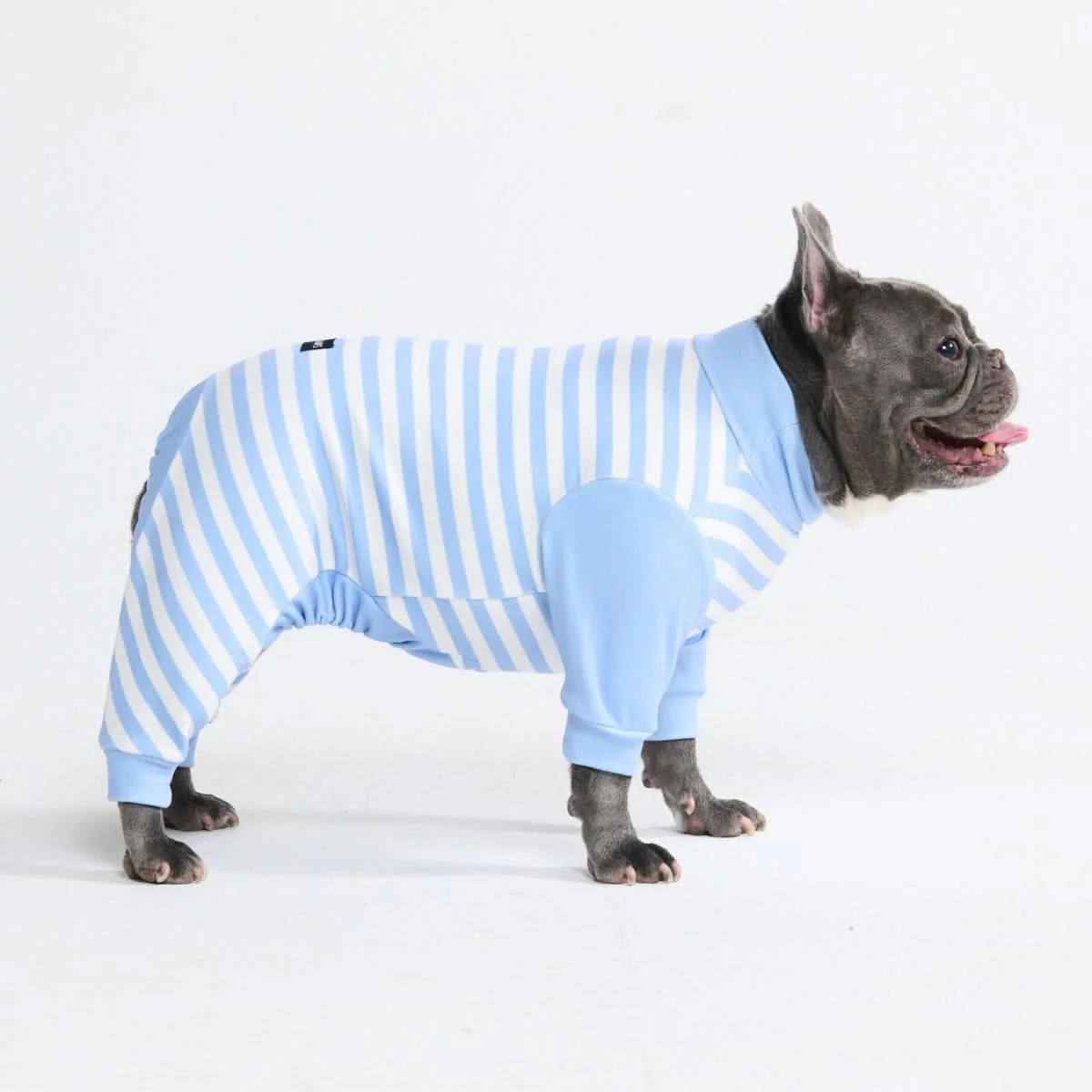 Dog Pajama Prints - Image 57