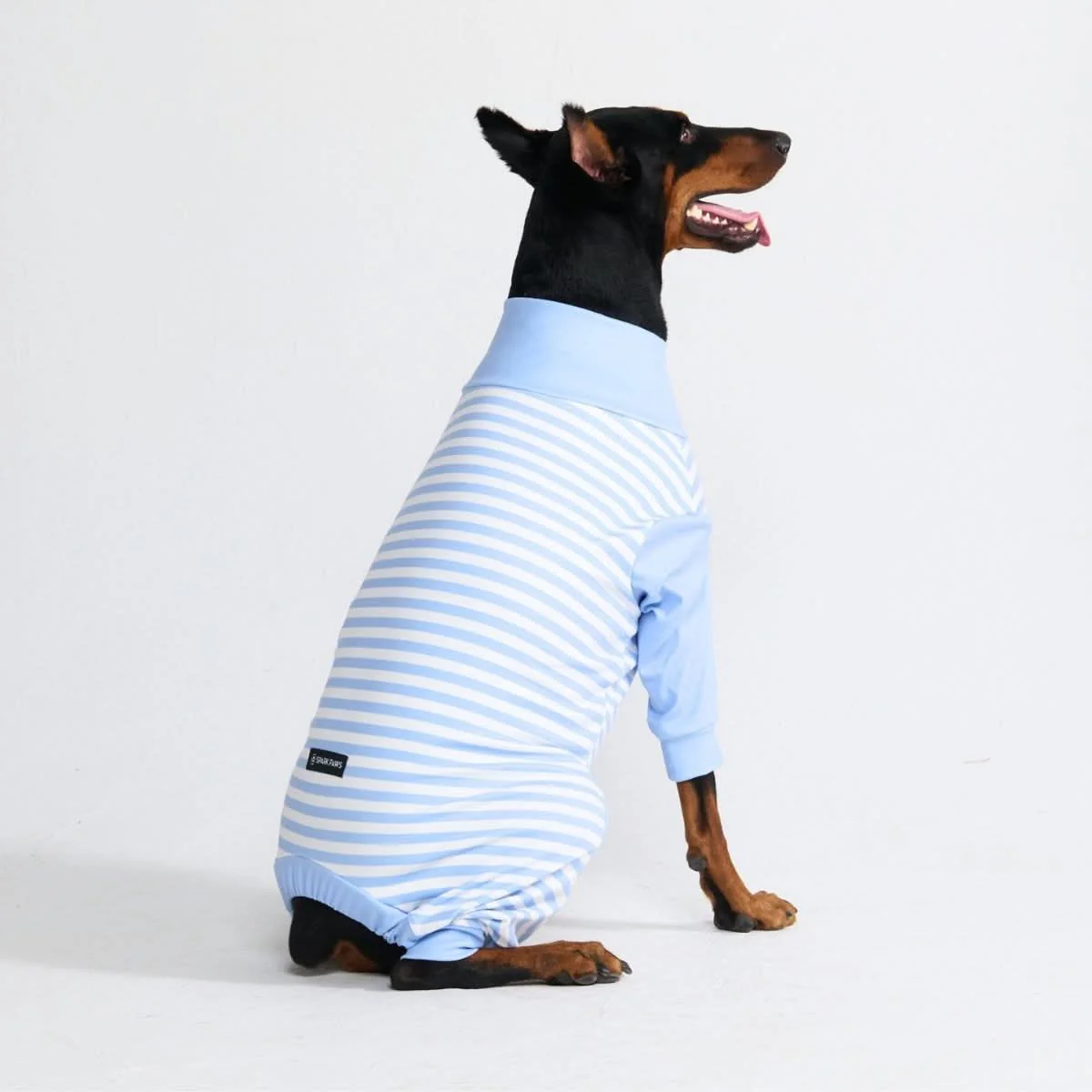 Dog Pajama Prints - Image 58