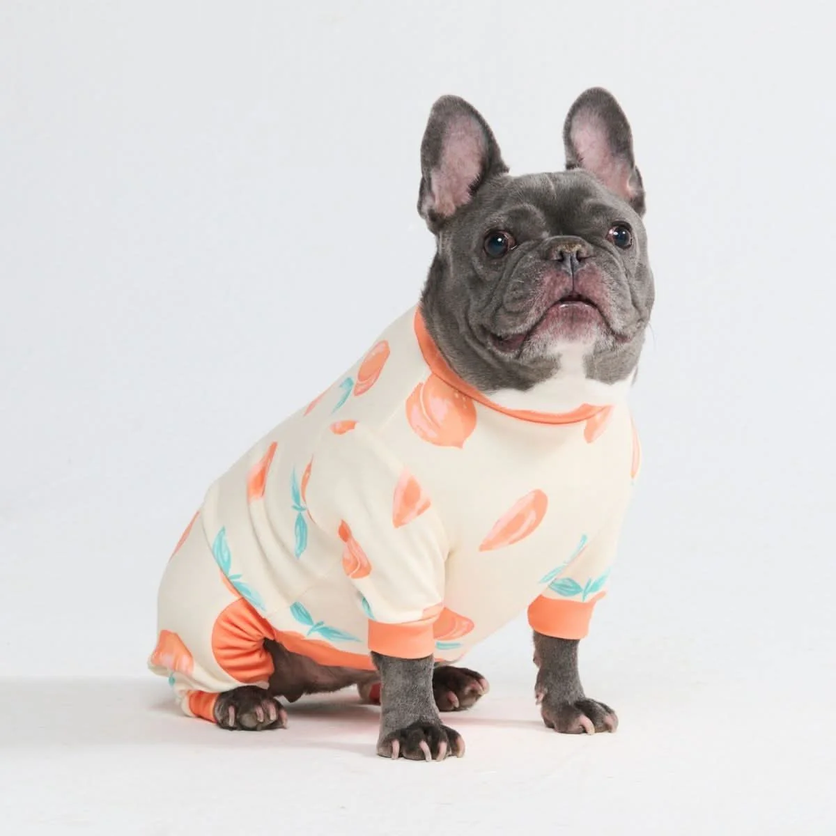 Dog Pajama Prints - Image 66