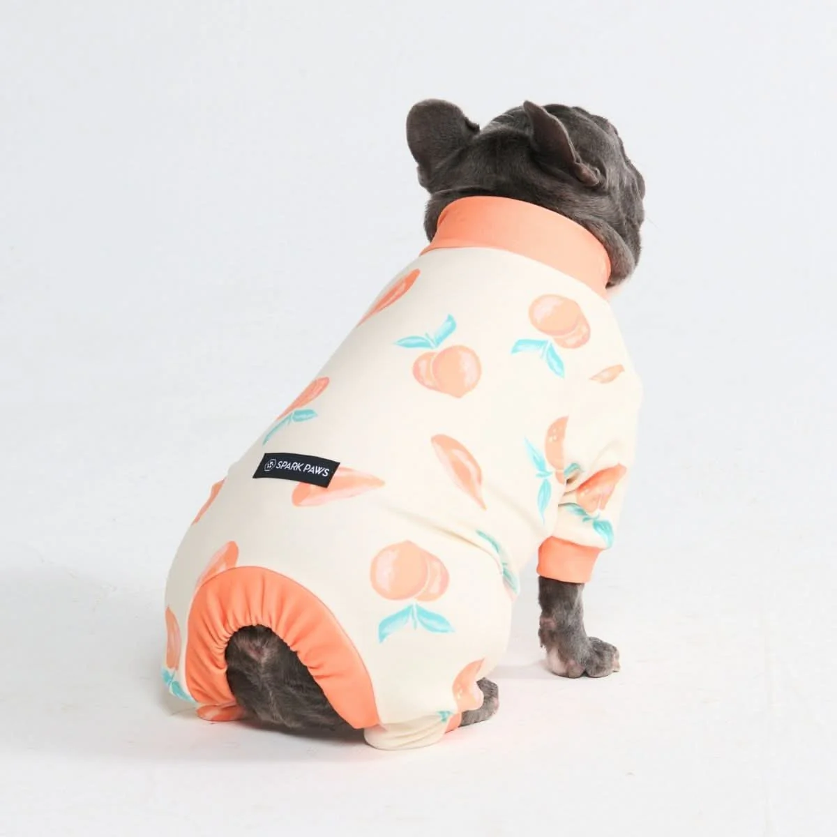 Dog Pajama Prints - Image 68