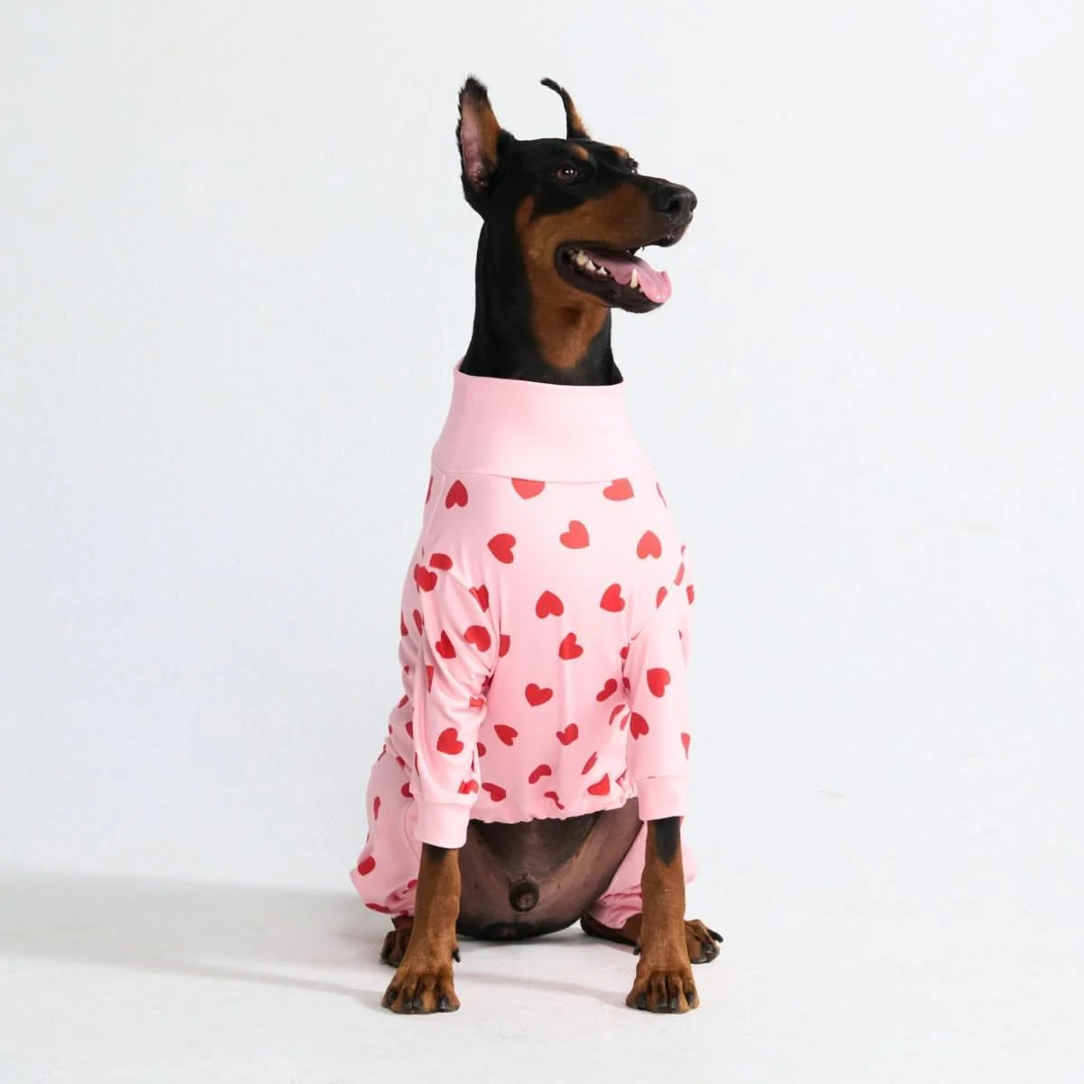 Dog Pajama Prints - Image 73