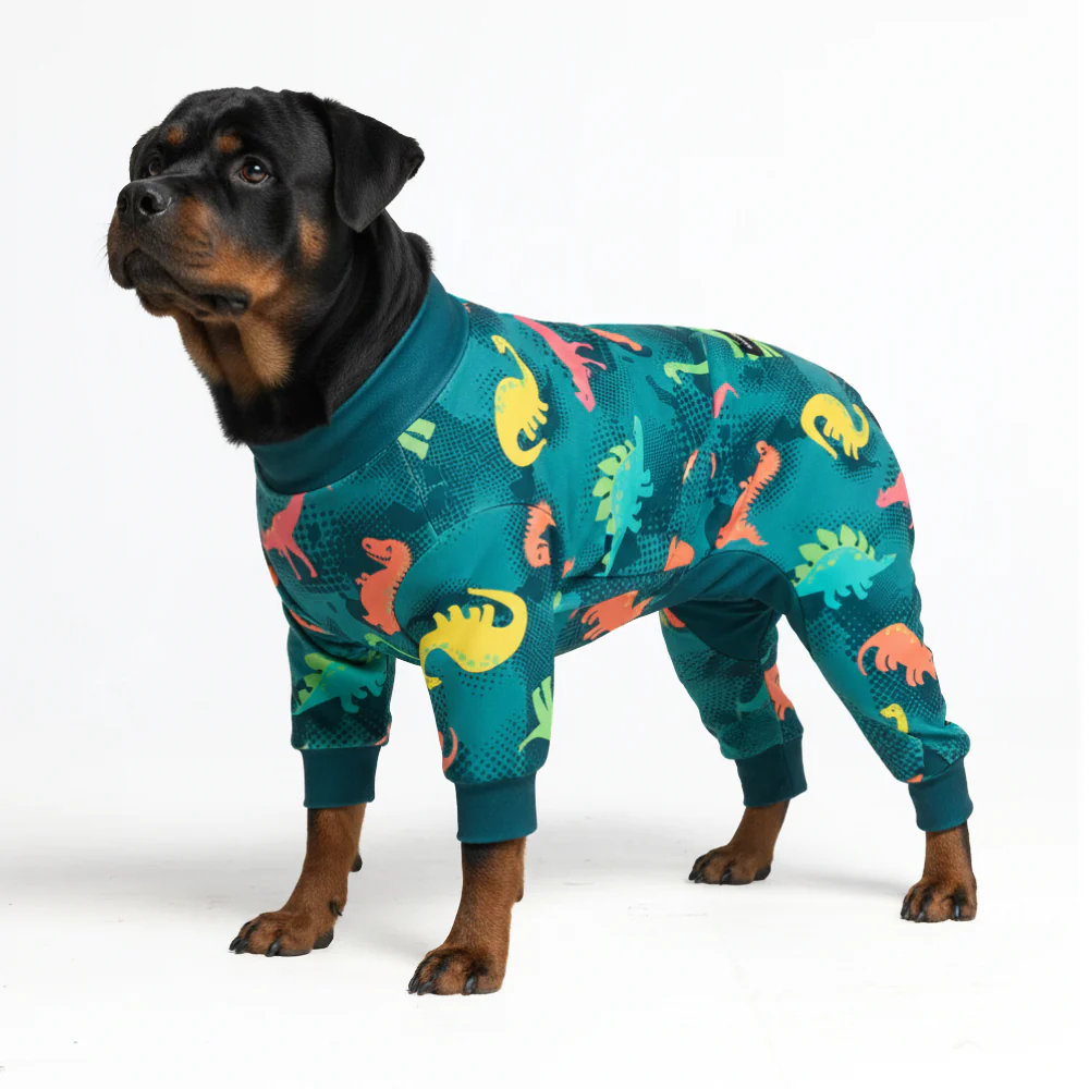 Dog Pajama - Dinosaurs - Image 6