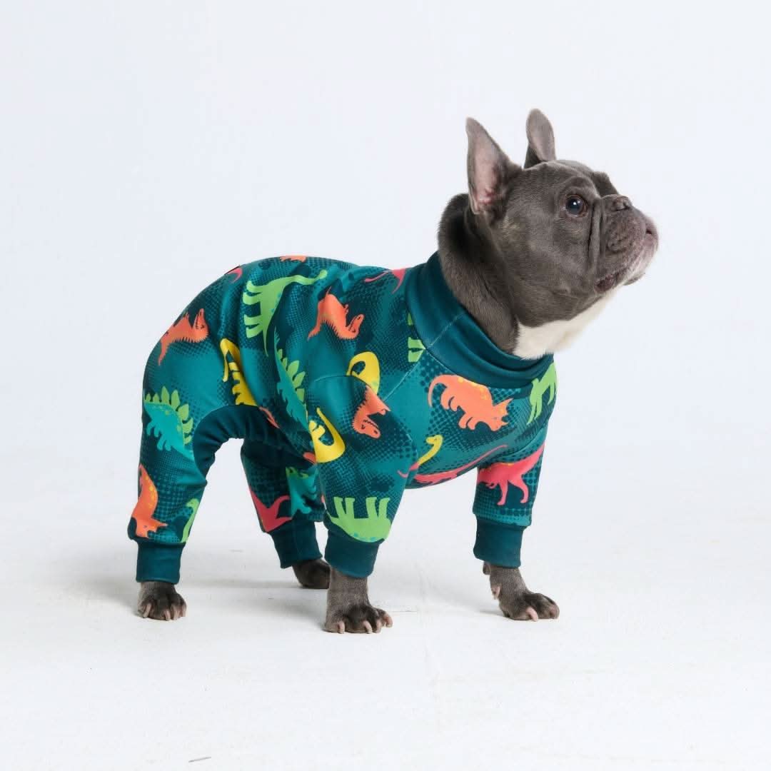 Dog Pajama - Dinosaurs - Image 7
