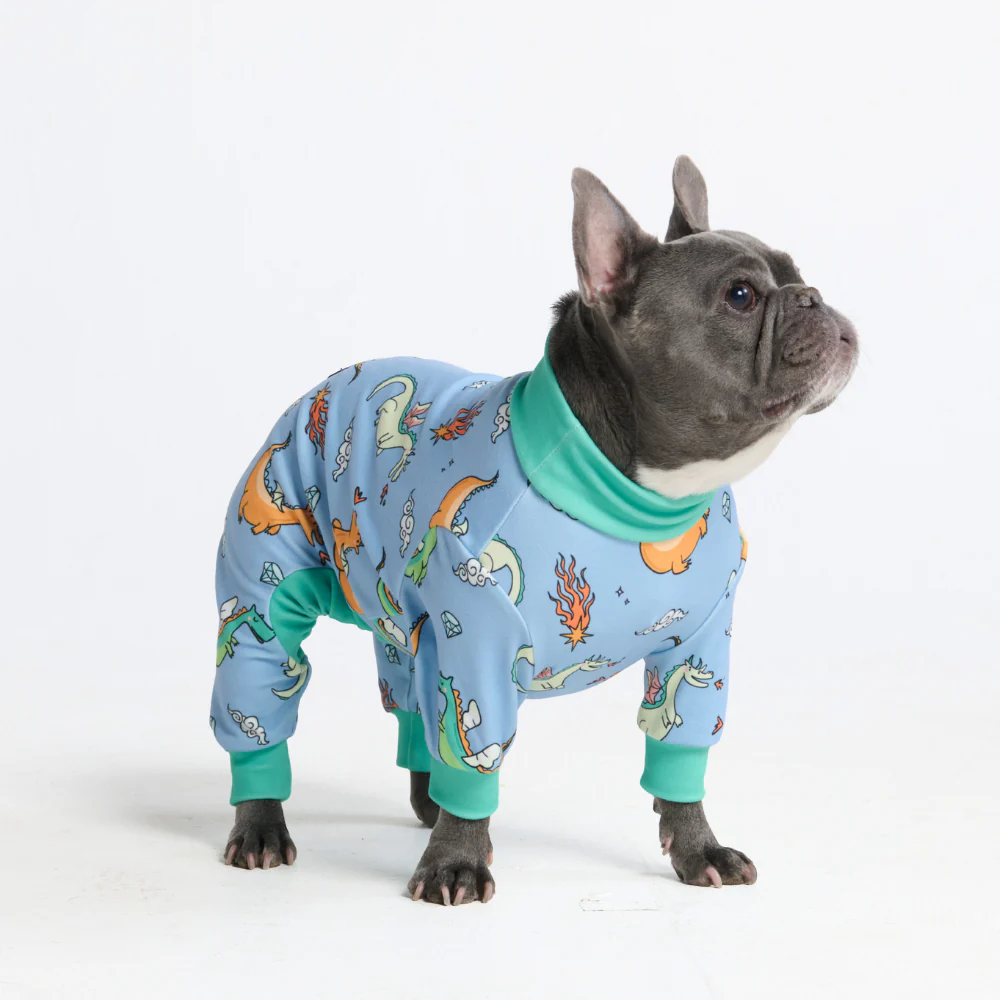 Dog Pajama - Dragons - Image 4