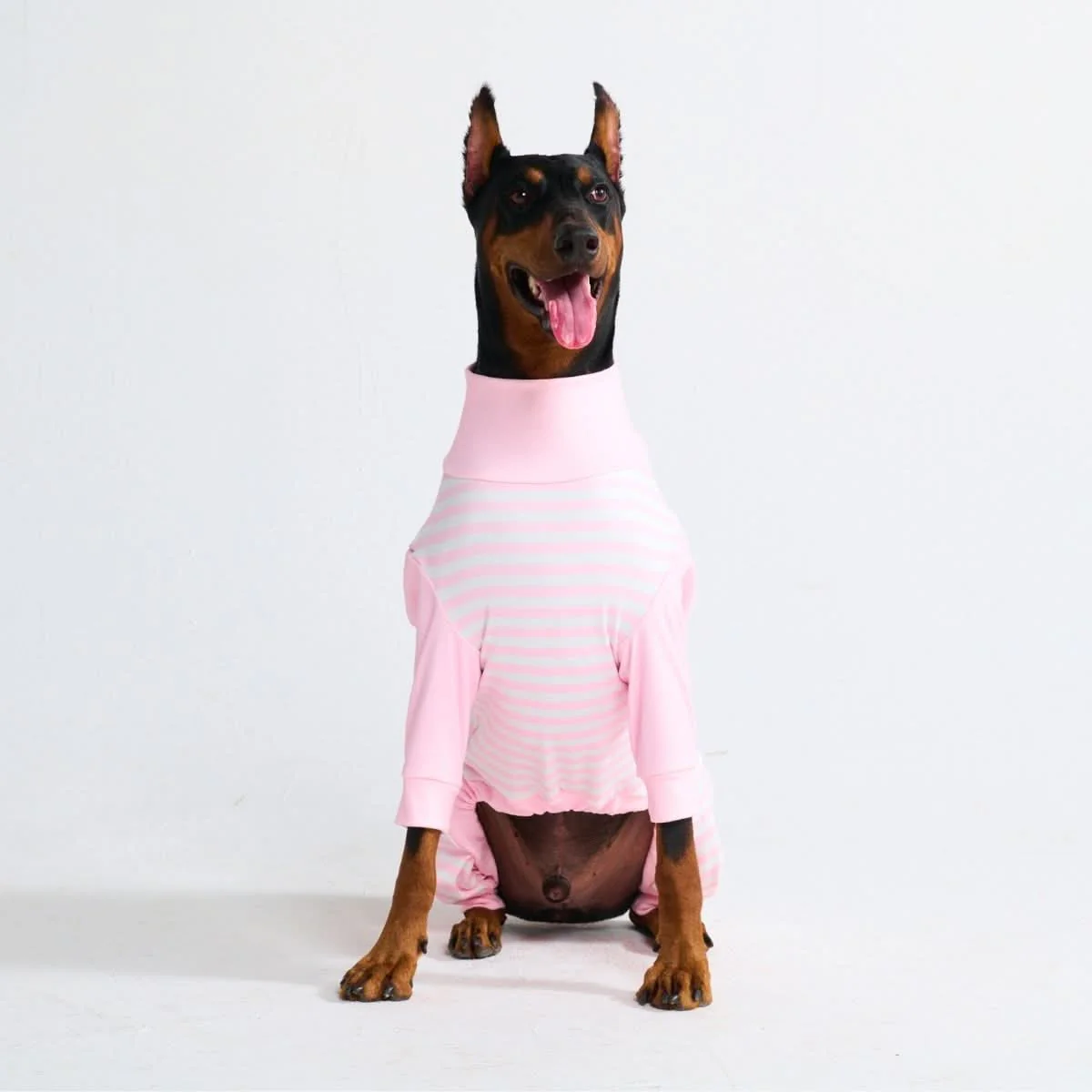 Dog Pajama - Pink Stripes - Image 5