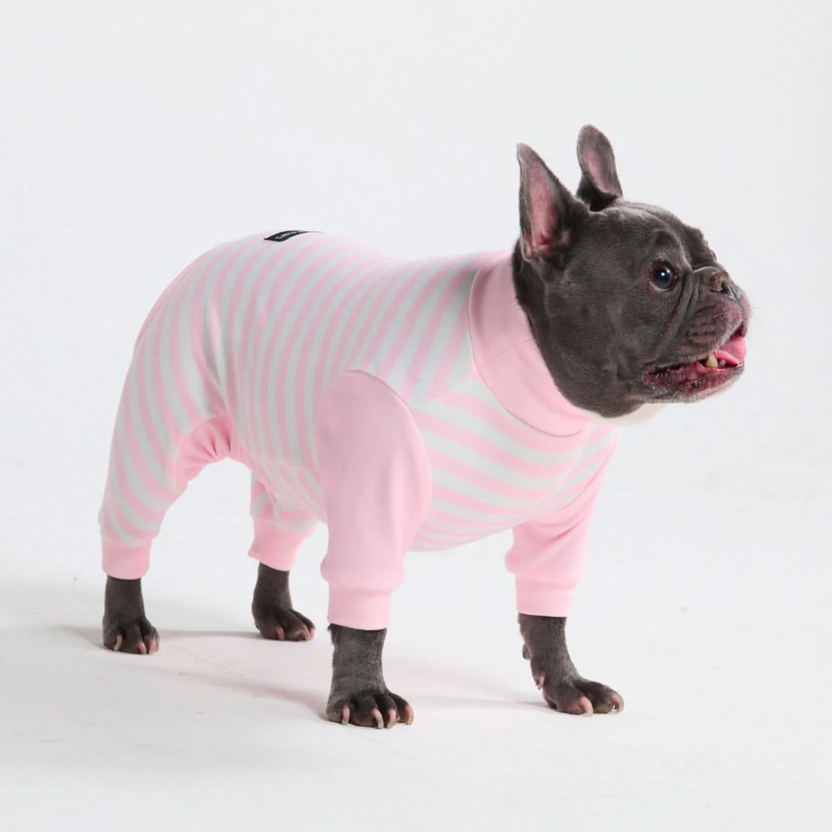 Dog Pajama - Pink Stripes - Image 6