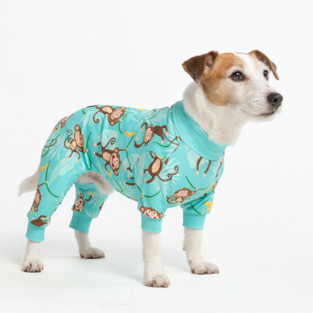 Dog Pajama Prints - Image 38