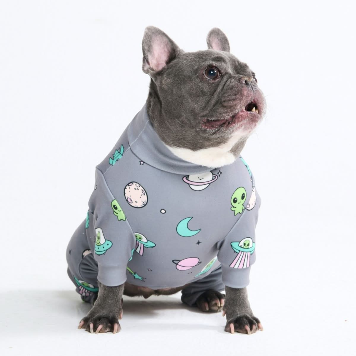 Dog Pajama Prints - Image 50