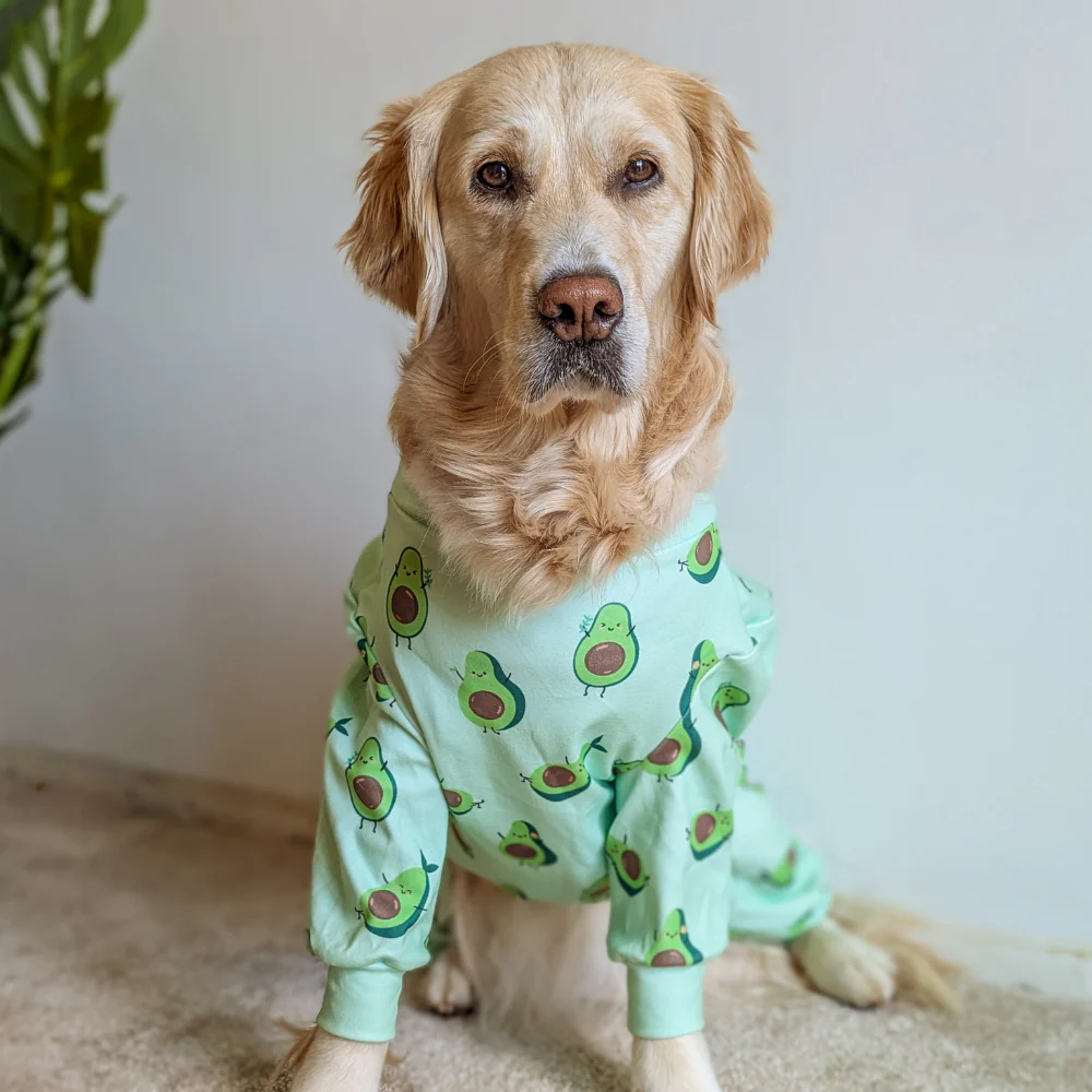 Dog Pajama - Avocado - Image 10
