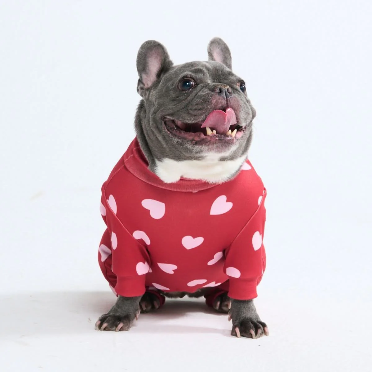 Dog Pajama - Red Hearts - Image 4