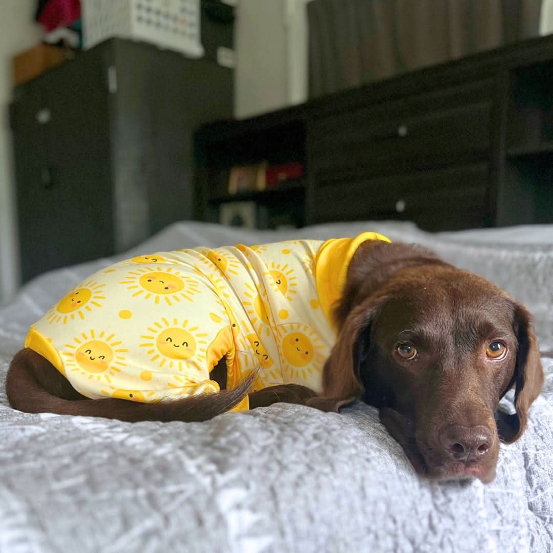 Dog Pajama - Sunshine - Image 5
