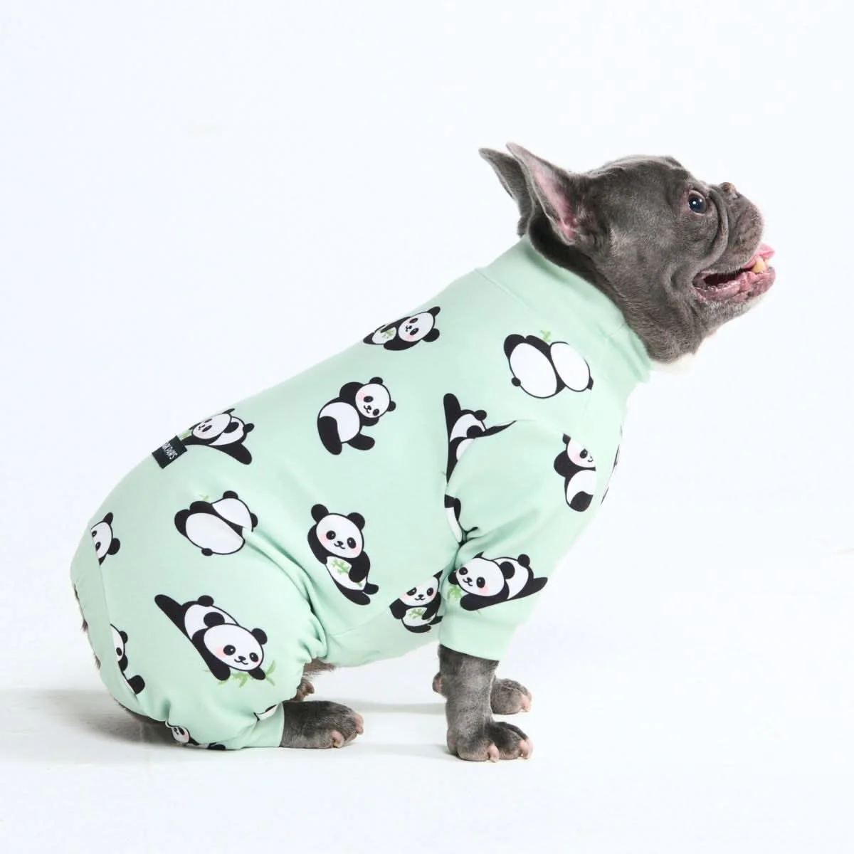 Dog Pajama Prints - Image 17