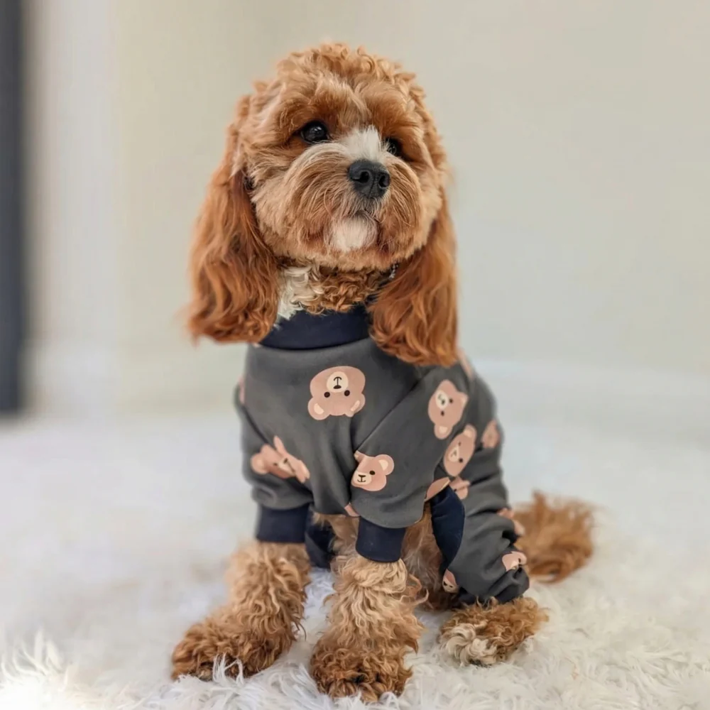 Dog Pajama Prints - Image 30