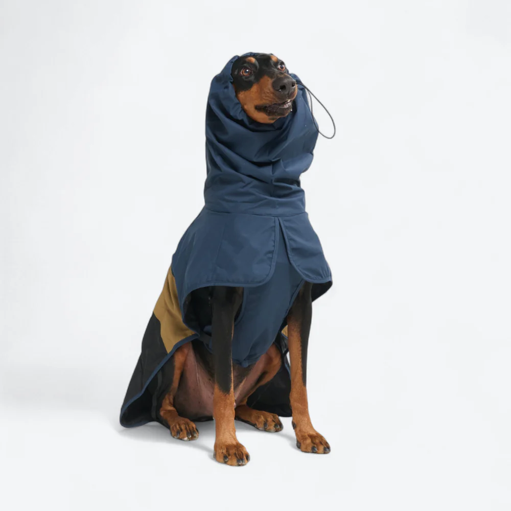 Breatheshield™ Dog Raincoat - Blue Gold Black - Image 7