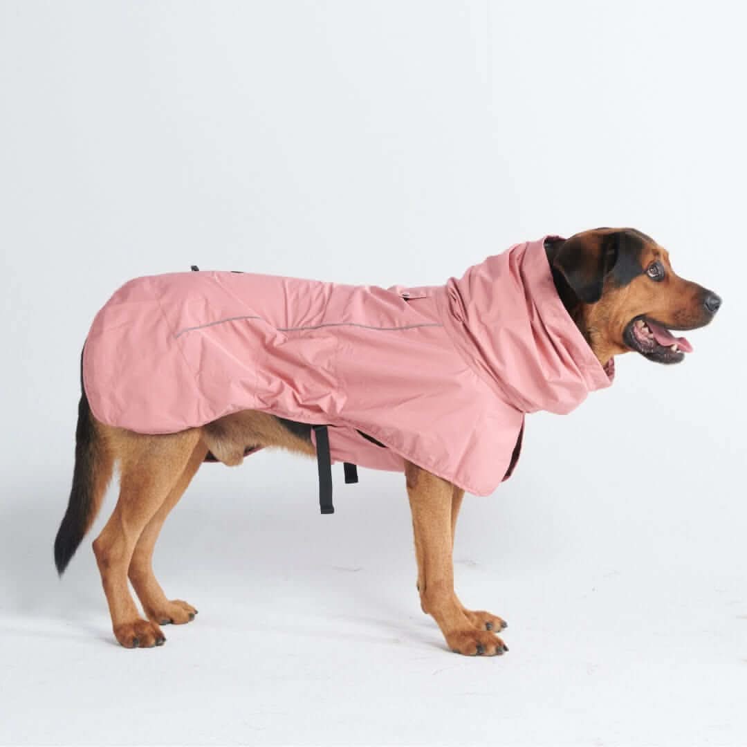 Breatheshield™ Dog Raincoats - Image 42