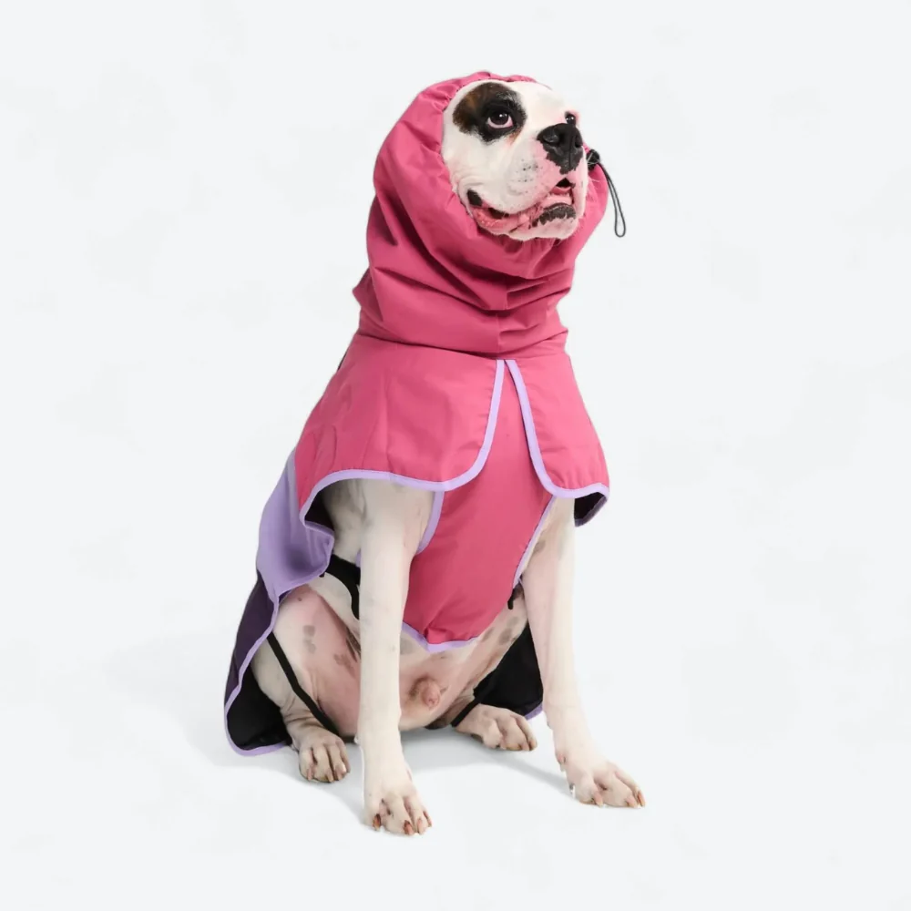 Breatheshield™ Dog Raincoat - Pink Lilac Purple - Image 8