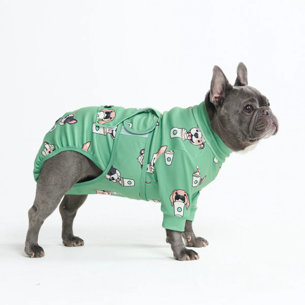 Dog Surgical Suit - Pup Cup - Image 4