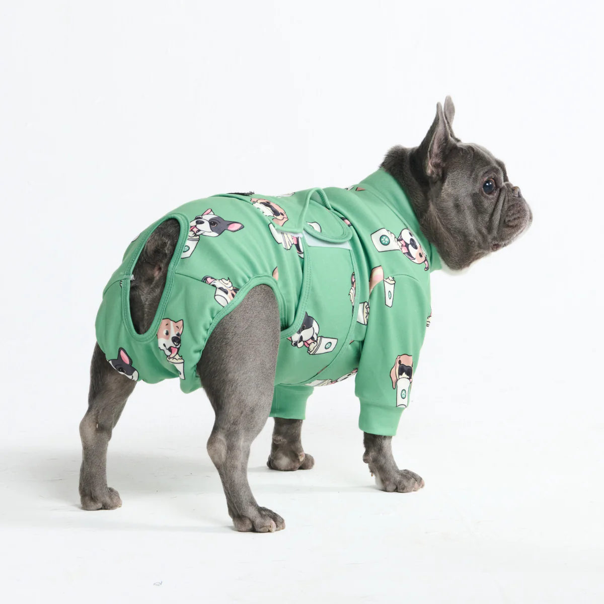 Dog Surgical Suit - Pup Cup - Image 10