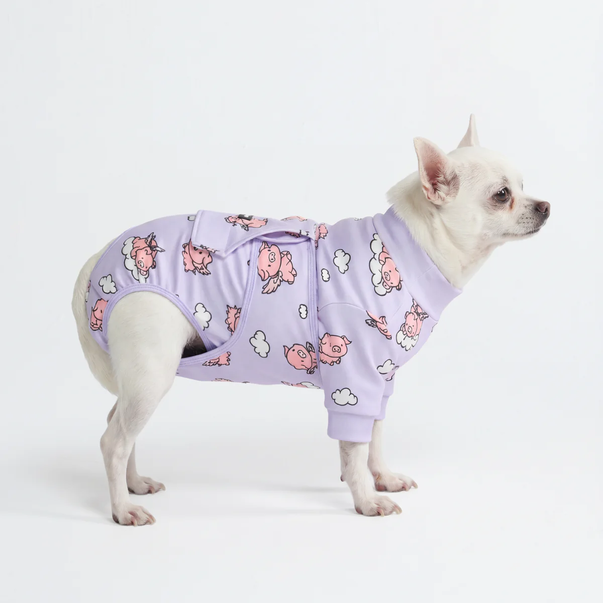 Dog Surgical Suit - When Pigs Fly - Image 3
