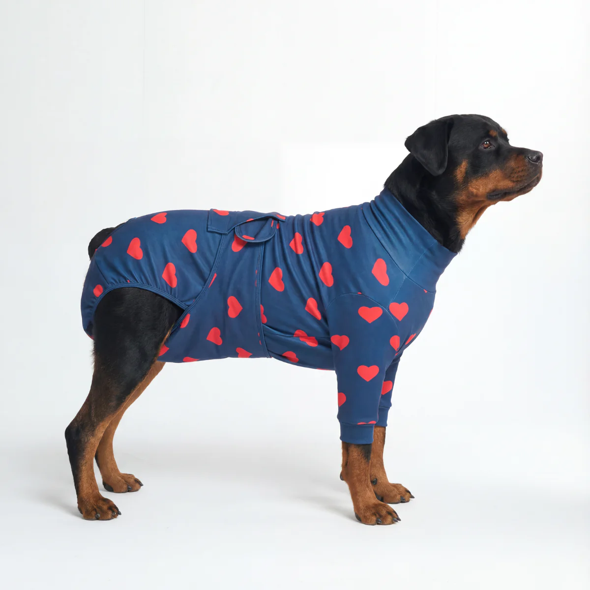 Dog Surgical Suit - Hearts - Image 6