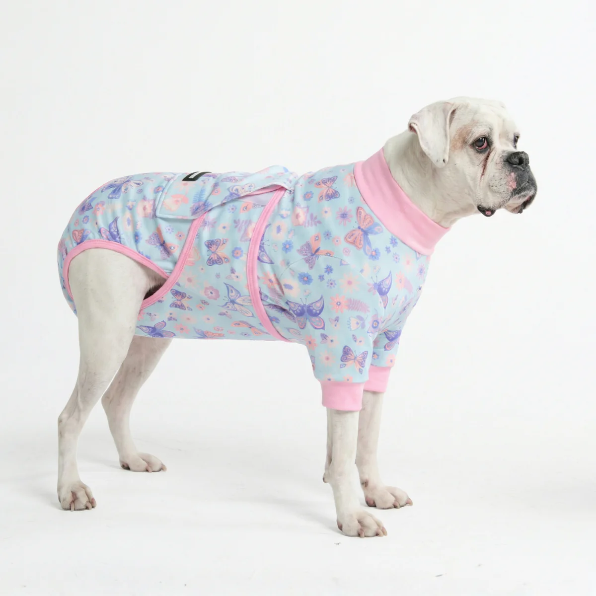 Dog Surgical Suit - Butterfly - Image 5