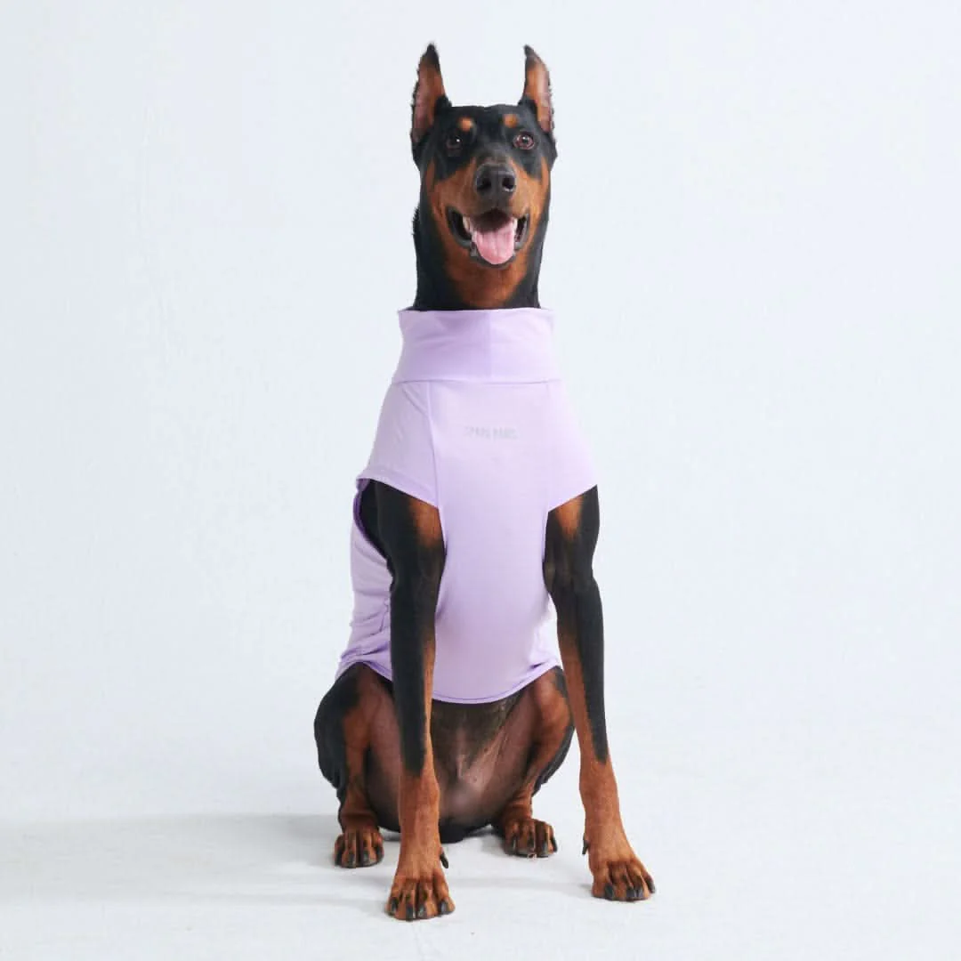 Sunblock Dog T-Shirt - Purple - Image 3