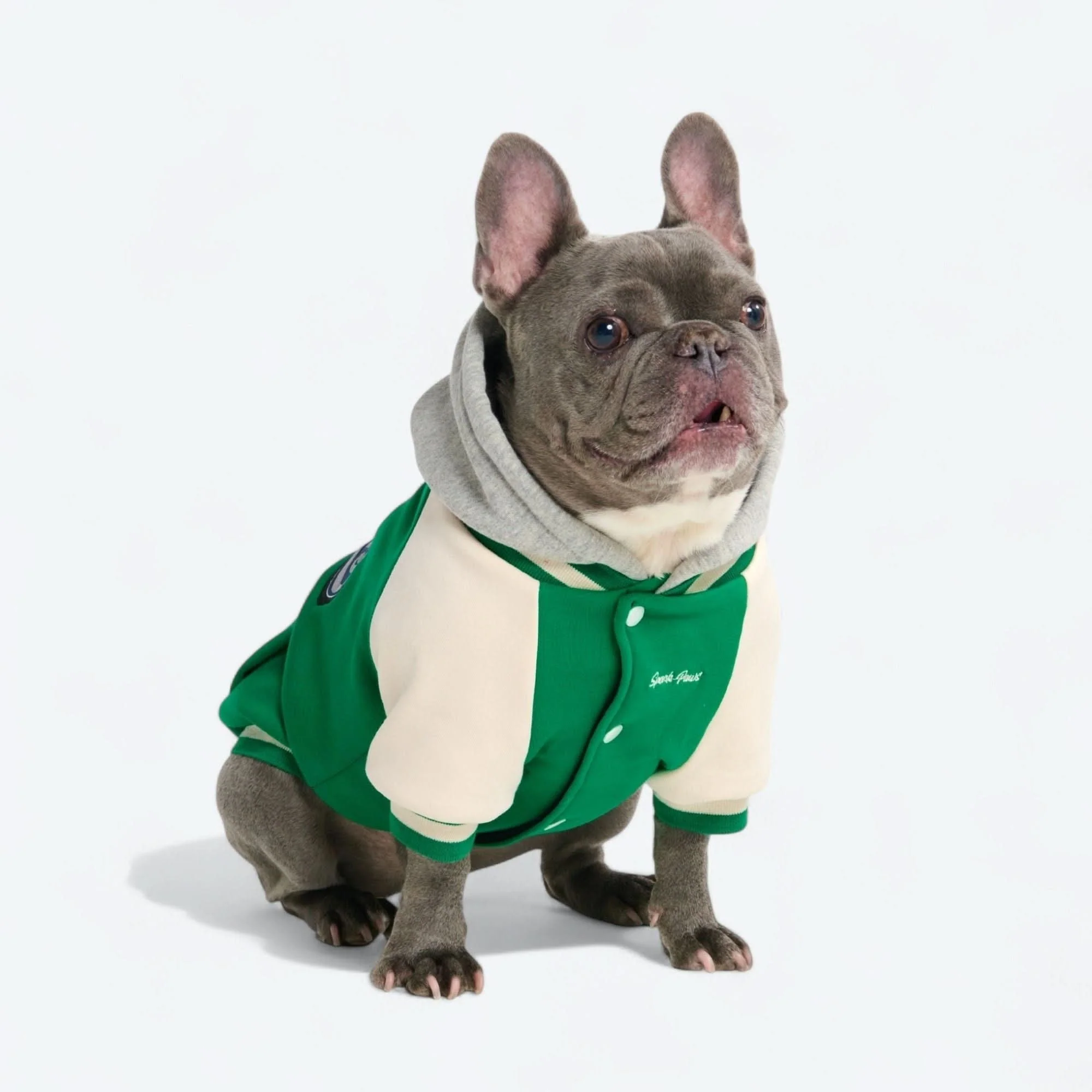 Dog Varsity Jacket - Green - Image 10
