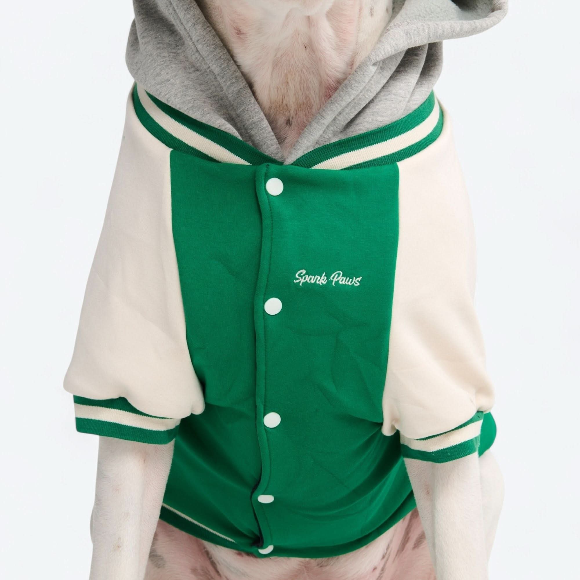 Dog Varsity Jacket - Green - Image 9