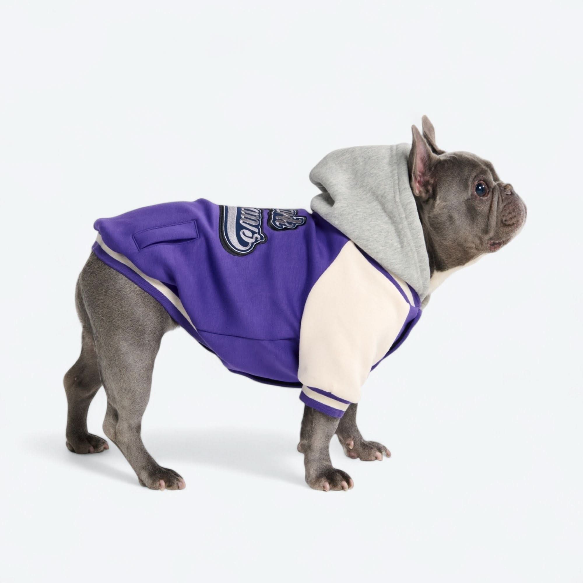 Dog Varsity Jacket - Purple - Image 5