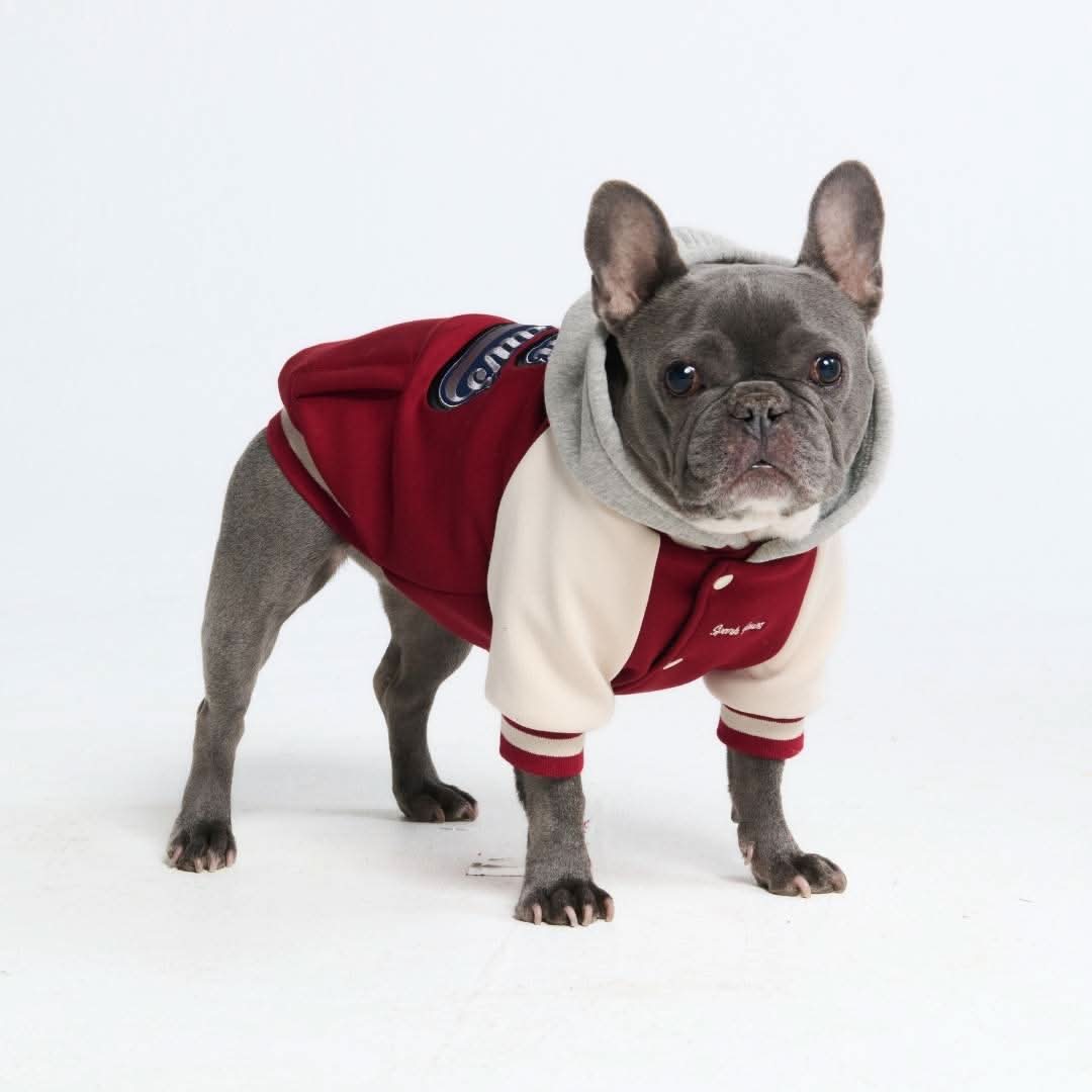 Dog Varsity Jackets - Image 2