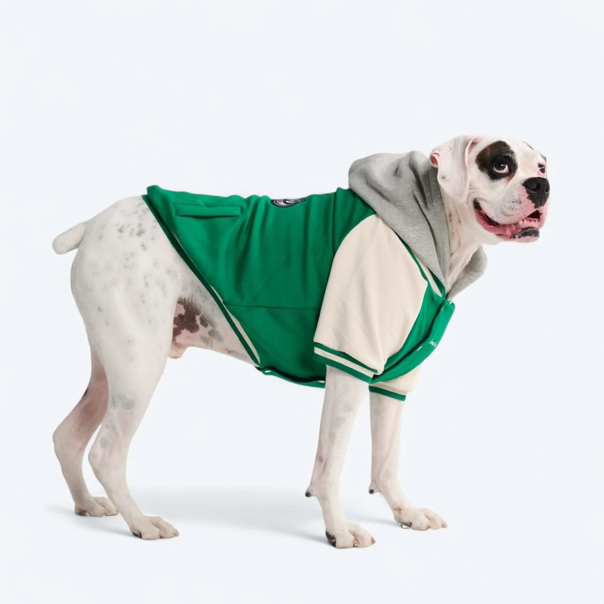 Dog Varsity Jackets - Image 20
