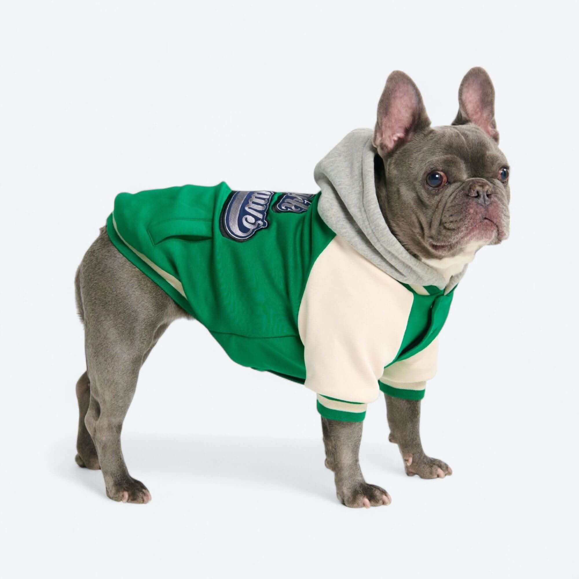 Dog Varsity Jackets - Image 21