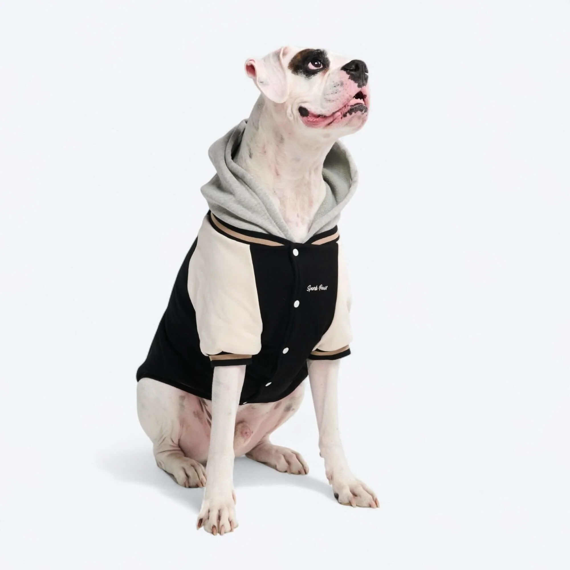 Dog Varsity Jackets - Image 34