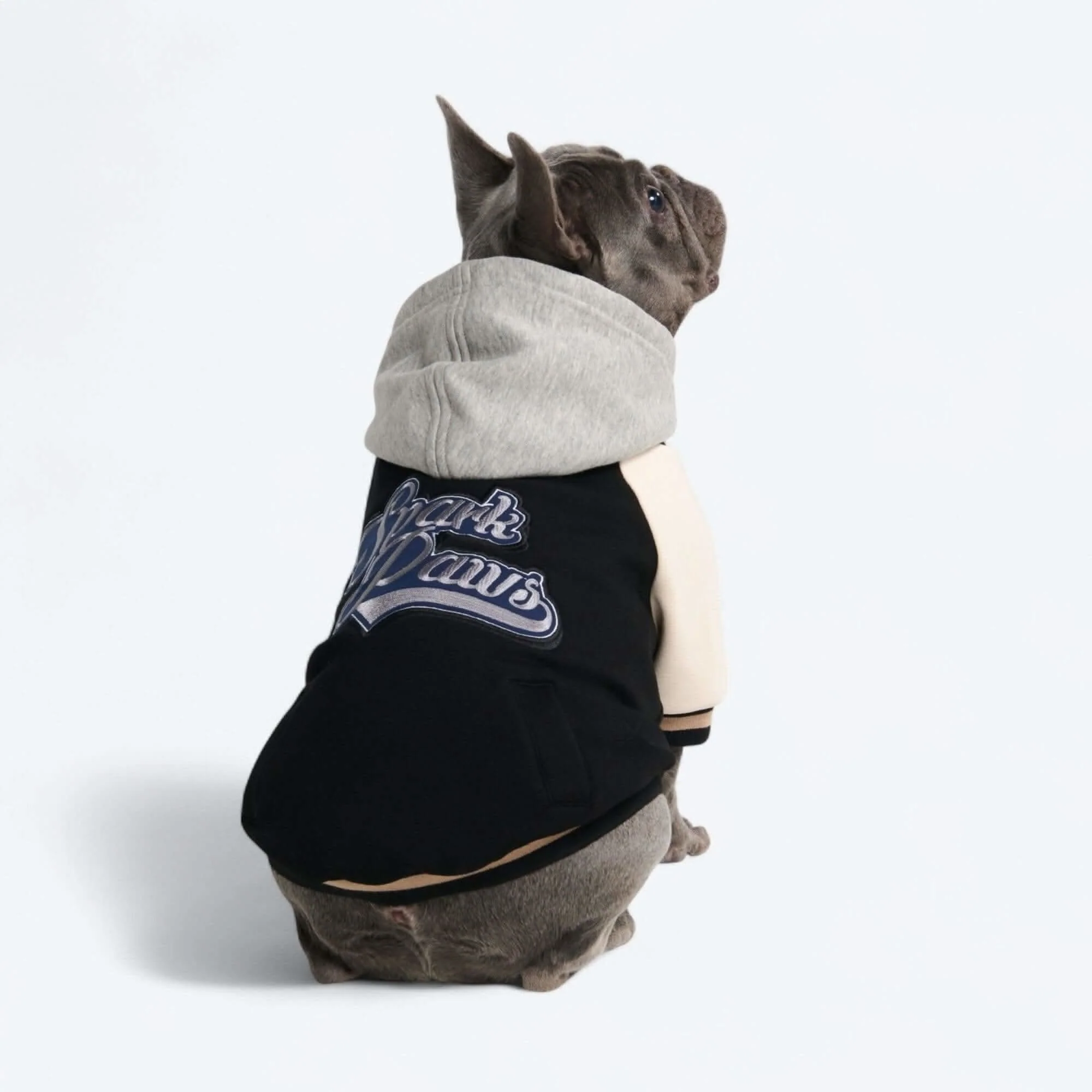 Dog Varsity Jackets - Image 37