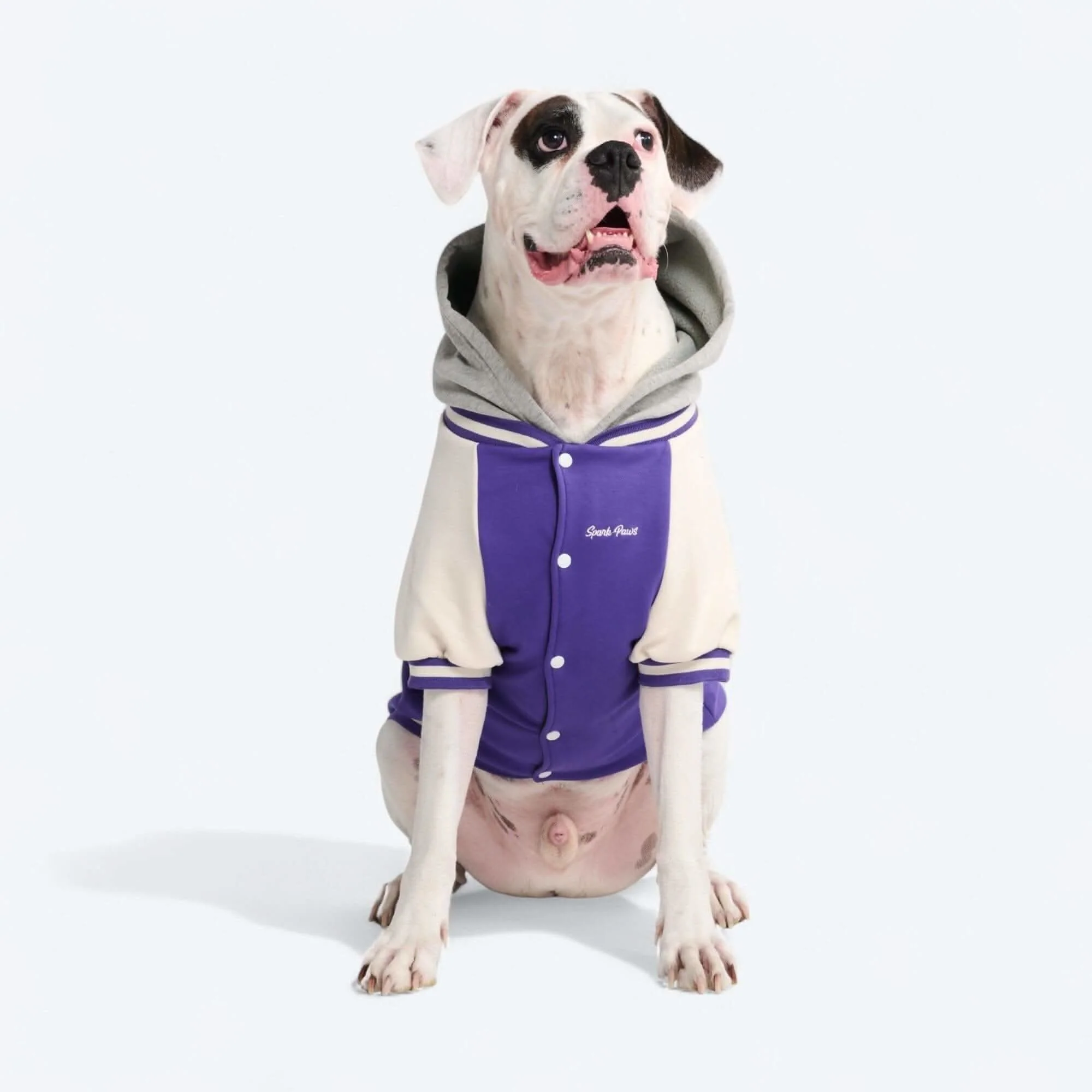 Dog Varsity Jackets - Image 6