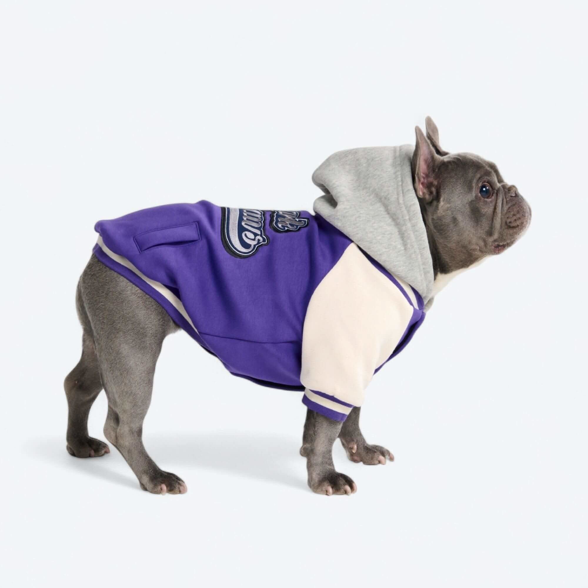 Dog Varsity Jackets - Image 8