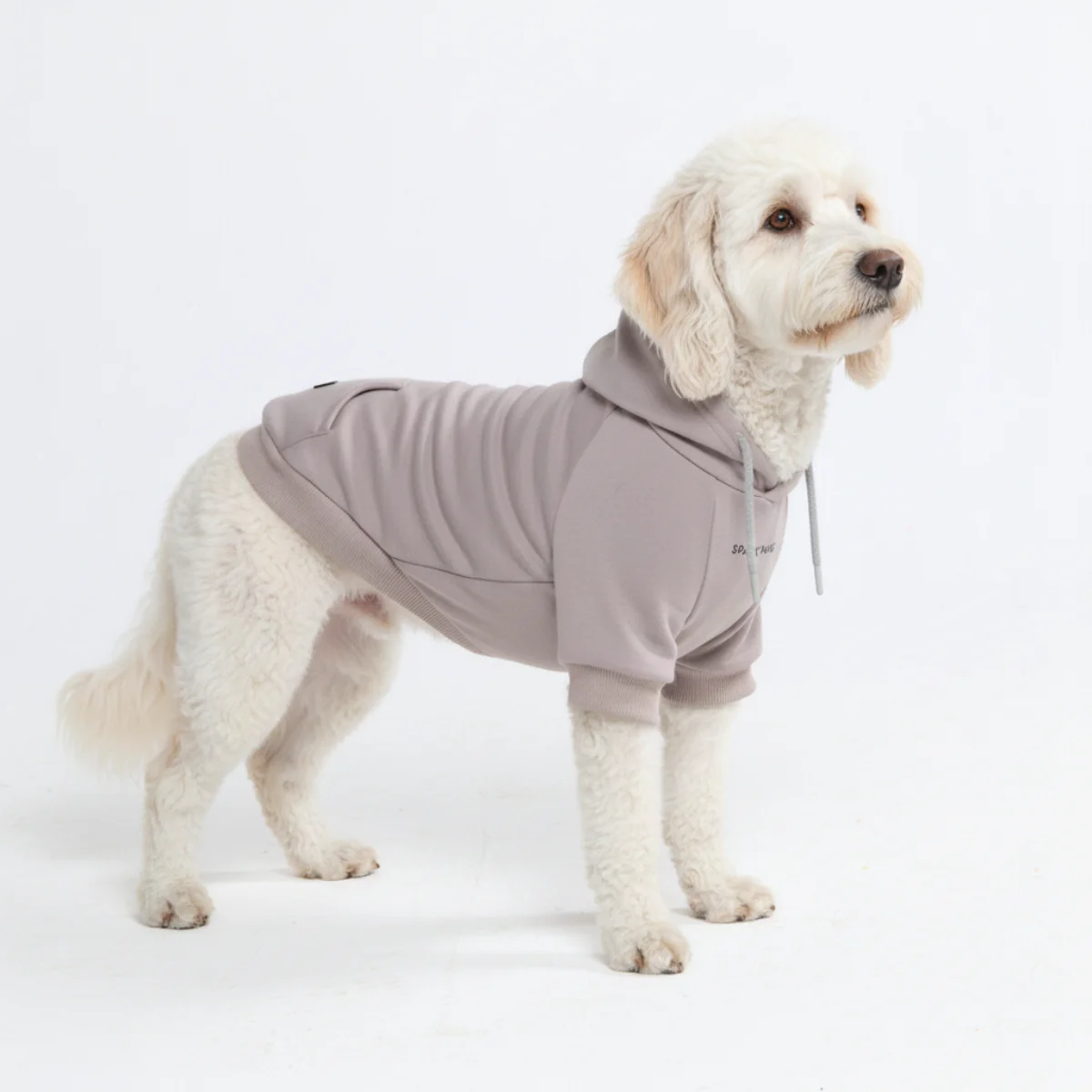 Essential Dog Hoodies - Image 106