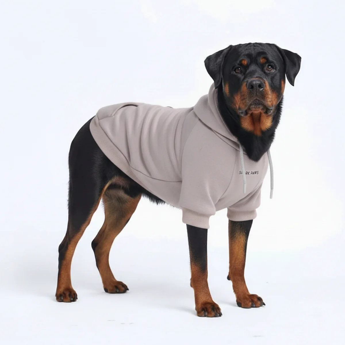 Essential Dog Hoodies - Image 107