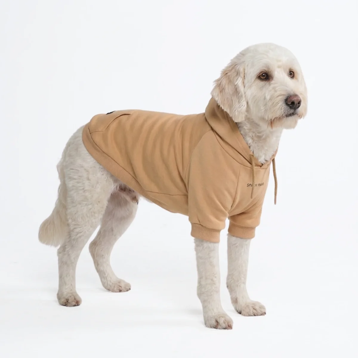 Essential Dog Hoodies - Image 114